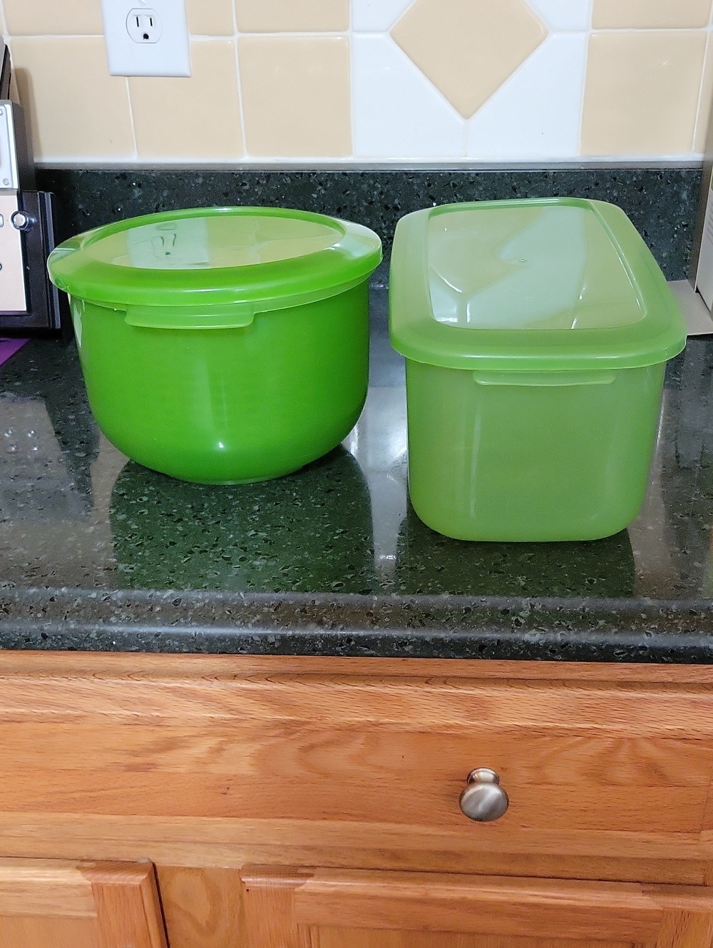Debbie Meyer Green Plastic Food Storage Containers - Set of 2